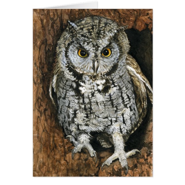 Búho de chillido (Frente)
