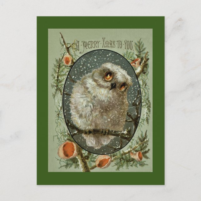 Búho de las Felices Navidad (Anverso)