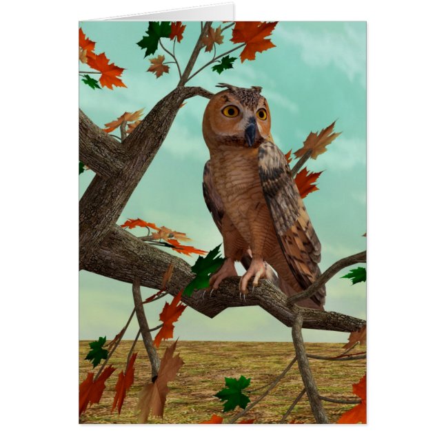 Búho de Otoño (Frente)