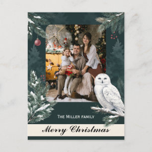 Búho Nevado Majestuoso Foto Personalizada Navidad