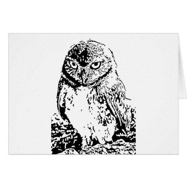 búho pequeño (Anverso (Horizontal))