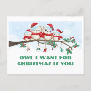 Búho que quiero para la postal de Navidades