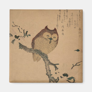 Búho y magnolia: Imán de Ukiyo-e del japonés