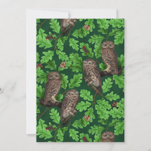 Búhos en el bosque sobre verde oscuro
