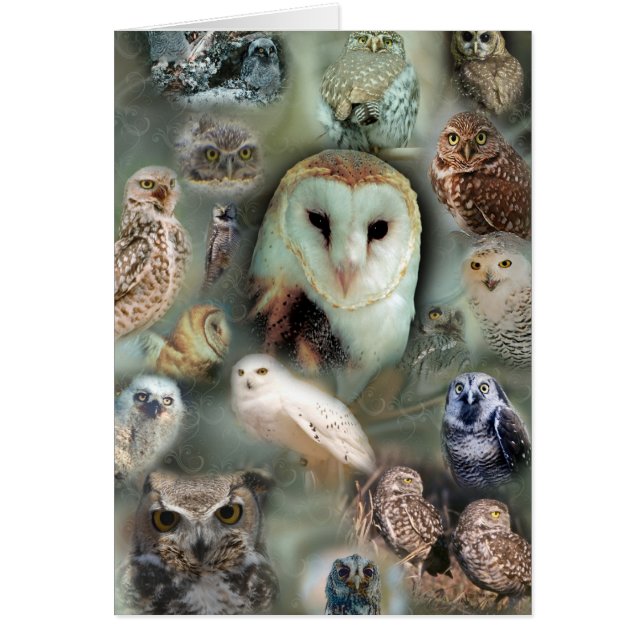 Búhos felices (Frente)