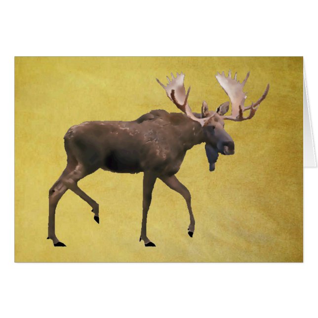 Bull Moose (Anverso (Horizontal))