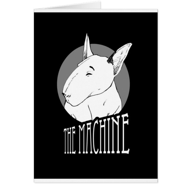 bull terrier (Frente)