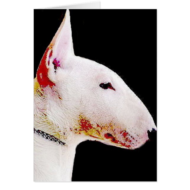 Bull Terrier (Frente)