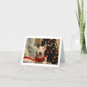 Bull Terrier Bow Tie Árbol de Navidad Tarjeta pleg