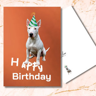 Bull Terrier Dog Tarjeta de felicitación de cumple