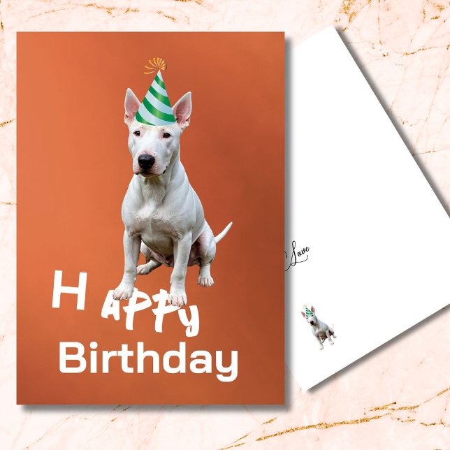 Bull Terrier Dog Tarjeta de felicitación de cumple (Subido por el creador)