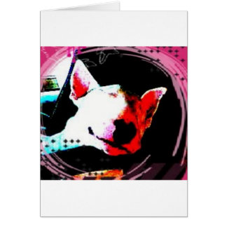 bull terrier en inglés