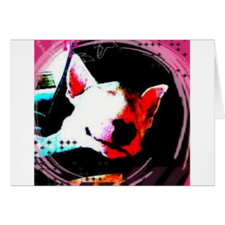 bull terrier en inglés