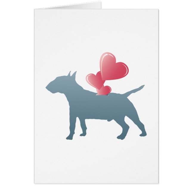 Bull terrier miniatura (Frente)
