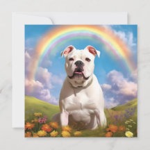 Bulldog americano Rainbow Bridge Custom Name Dog