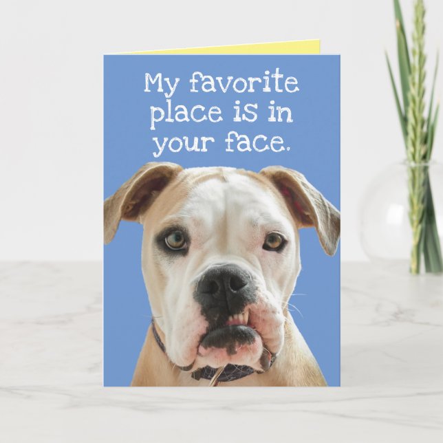 Bulldog americano sin tarjeta del día del padre to (Anverso)