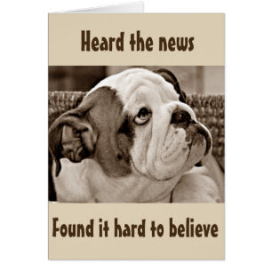 **BULLDOG BEFUDLED** NO PUEDE CREER QUE SEA **50**