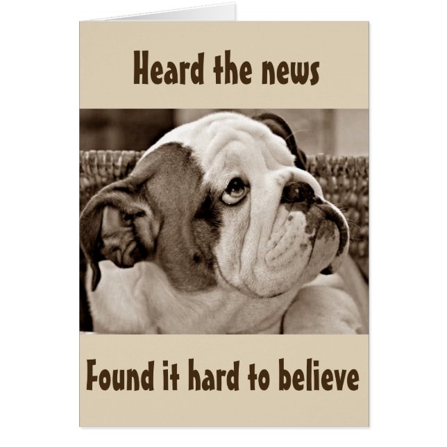 **BULLDOG BEFUDLED** NO PUEDE CREER QUE SEA **50** (Frente)