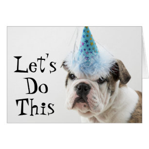 Bulldog Británico Con Un Gorra Fiesta