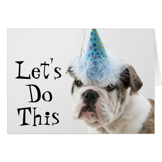 Bulldog Británico Con Un Gorra Fiesta (Anverso (Horizontal))