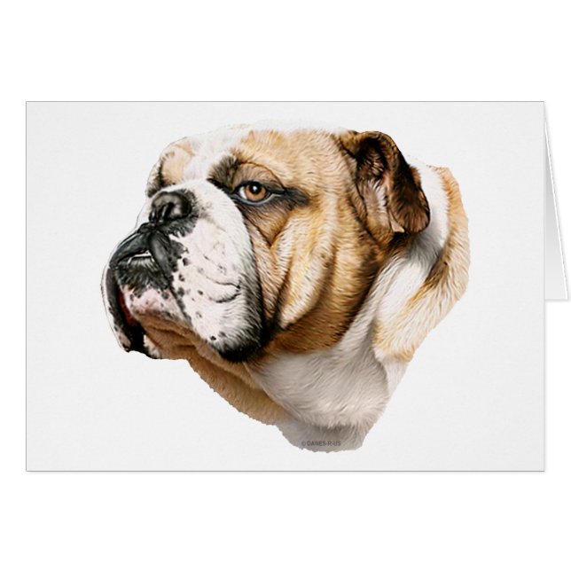 Bulldog Bust (Anverso (Horizontal))