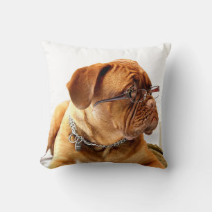 Bulldog con Cojín decorativo de gafas