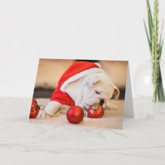 BULLDOG con NAVIDADES BALLS Tarjeta de felicitació