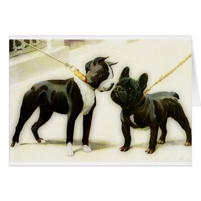 BULLDOG DE BOSTON TERRIER&FRENCH (Anverso (Horizontal))
