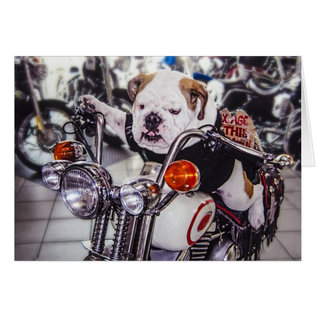 Bulldog en la motocicleta (Anverso (Horizontal))