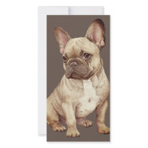 Bulldog Francés Adorable
