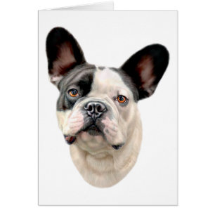 Bulldog francés BW Bust