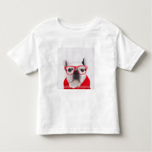 Bulldog francés con gafas y camisetas