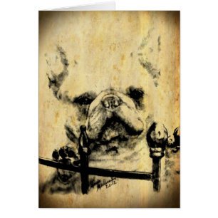 Bulldog francés de antaño