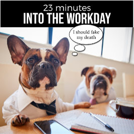 Bulldog francés debería fingir mi camiseta de muer