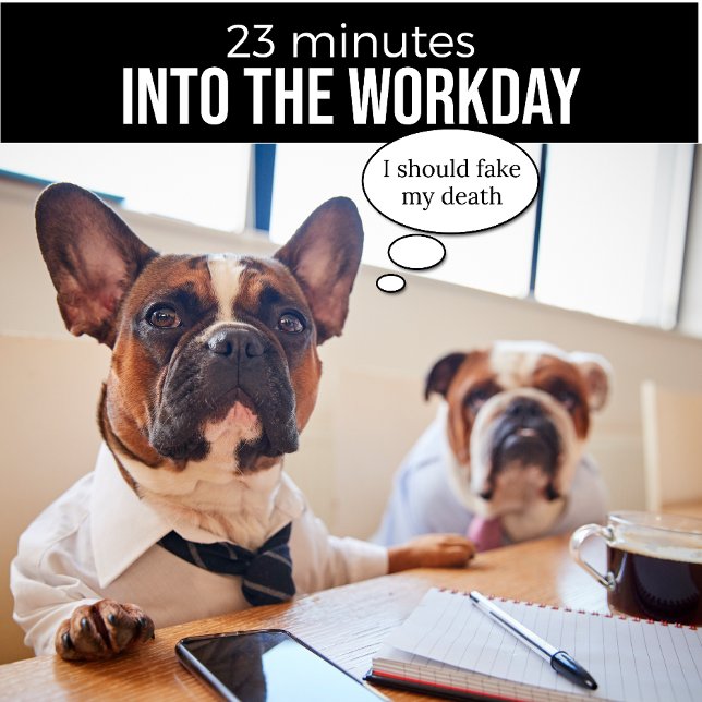 Bulldog francés debería fingir mi camiseta de muer (Subido por el creador)