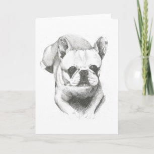Bulldog francés en tarjeta en blanco