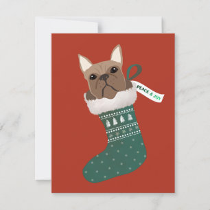 Bulldog francés en un Navidad de pie