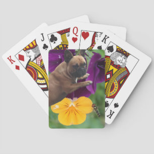 Bulldog francés juego de naipes
