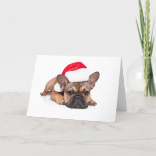 Bulldog Francés - Navidad