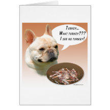 Bulldog francés Turquía