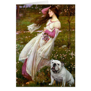 Bulldog inglés 9 - Windflores