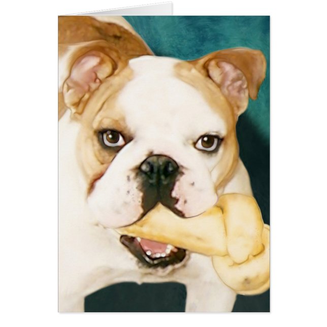 Bulldog inglés "Adagio" (Frente)