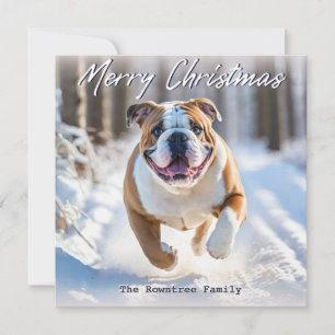 Bulldog Inglés Británico En Navidad Nieve