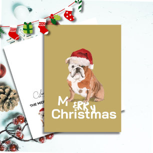 Bulldog inglés lindo en Santa Hat Feliz Navidad