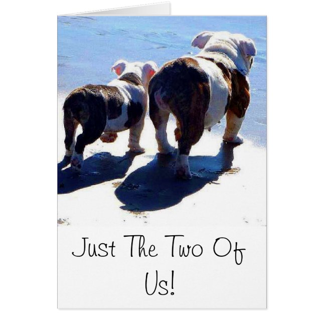 Bulldog inglés y pipa (Frente)