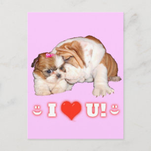 Bulldog inglés y Shih Tzu te amo las tarjetas