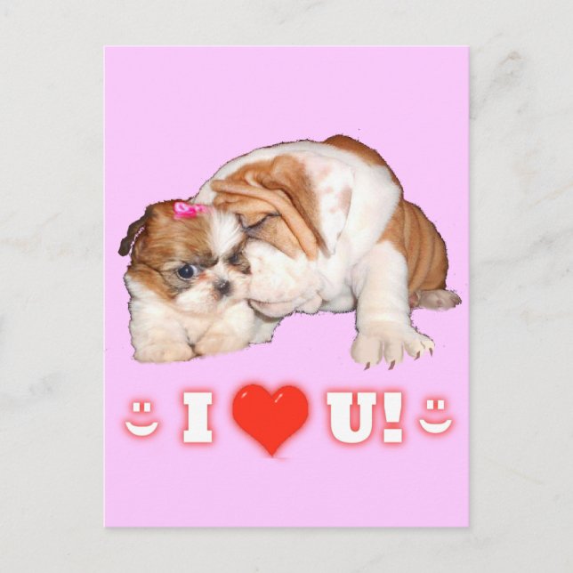 Bulldog inglés y Shih Tzu te amo las tarjetas (Anverso)