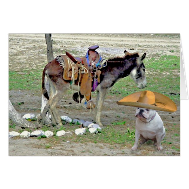 Bulldog mexicano (Anverso (Horizontal))