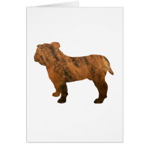 bulldog romano romano le silo