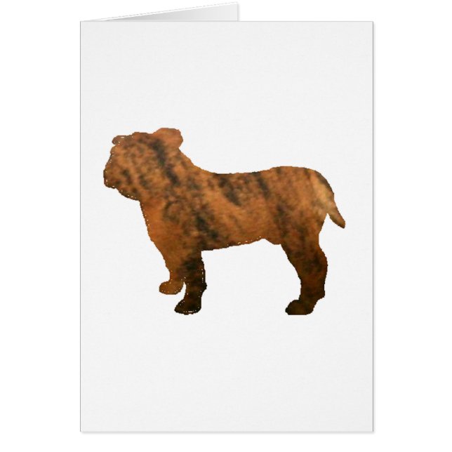 bulldog romano romano le silo (Frente)